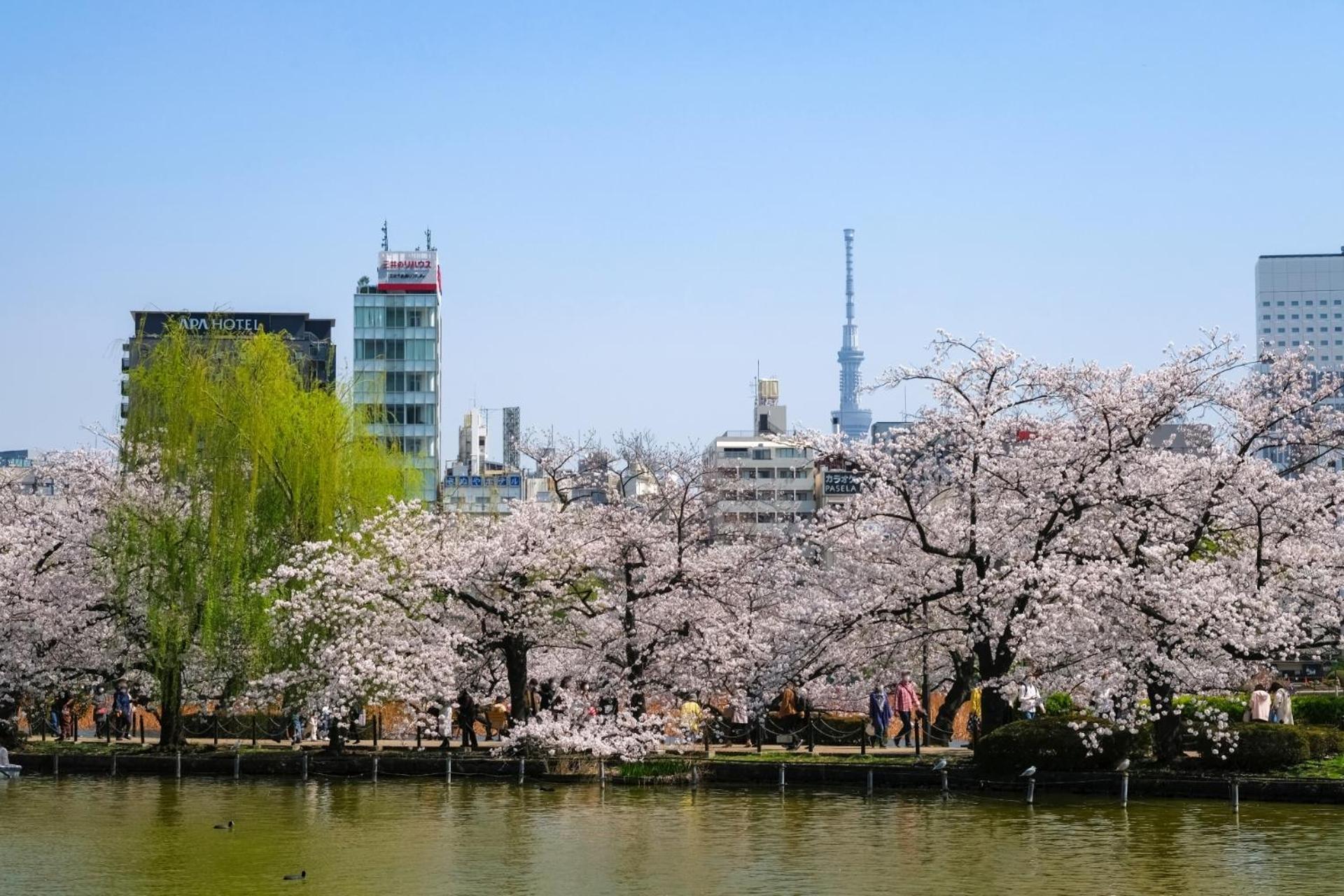 Stayme The Hotel Ueno Tokyo Ngoại thất bức ảnh